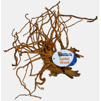 Spider Wood Medium
